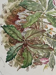 Vittorio Guidotti Watercolor Painting From Italy Italian Artist Signed “Floral”