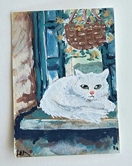 Original ACEO White Cat Window Flowers Whimsical Maria Rico“ZEPHYR“