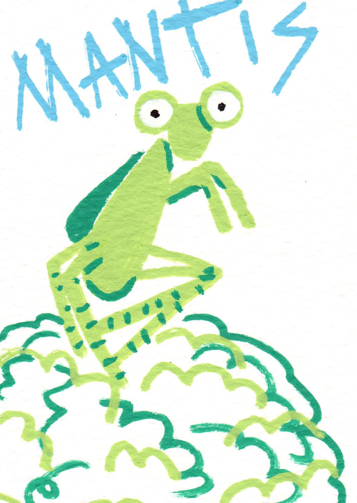 ACEO Acrylic Art Card – Mantis Bug – Animals from Memory Collection 2.5×3.5