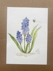 Original Spring Flower Painting – Grape Hyacinth & Bee – Gouache on Paper 2023