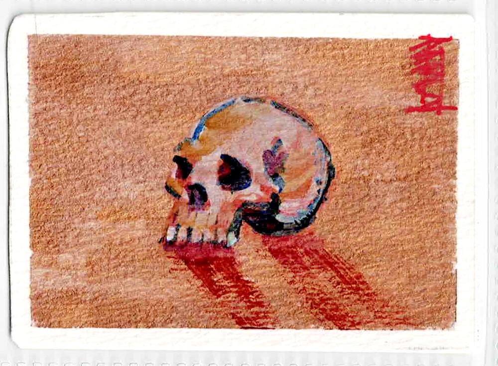 „Skull Study“ ACEO Original Painting. By B.b Spade