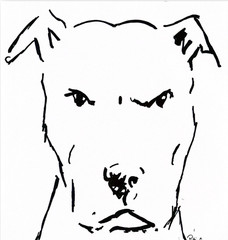 Gentle Giant Original Pit Bull Ink Drawing Art 14×11 Signed Dog Wall Home Decor