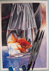 Goldfish Watercolor Painting Fish in Plastic Bag with Water Zodiac Pisces Art A4