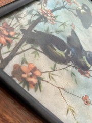 Antique Bird Painting on glass | Hand painted | European Blue Tit | 7.5″x9.5″