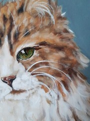Cat Painting Pet Original Art Cat Eyes Oil Artwork 12 by 9 Animal Art.