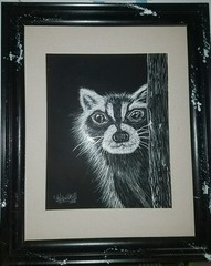 13 1/2 X 16 1/2 framed black and white scratch board racoon shortiez ink nature