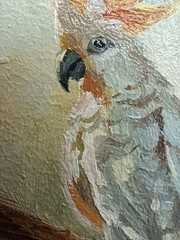 Cockatoo Original Oil Painting 4×6 Framed Signed Parrot Bird Tropical Wall Art