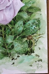 Rose Original Watercolor Painting Pale Pink Purple Garden Flowers After Rain Art