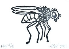 aceo original art by Emily Beck, Fly 2/5, linocut insect art, 3.5×25″