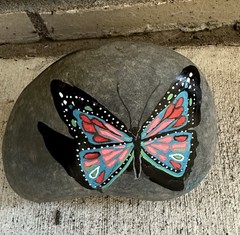 Butterfly Hand Painted in Acrylic ! Painted On a Large Rock! 6x4x4