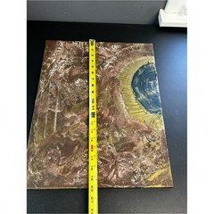 Canvas Painting 16 X 20 Acrylic Hand Painted Earthtones Titled Serenity Signed