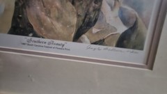Watercolor Painting Of Magnolias By Angela Bradburn 2ftx20.5in