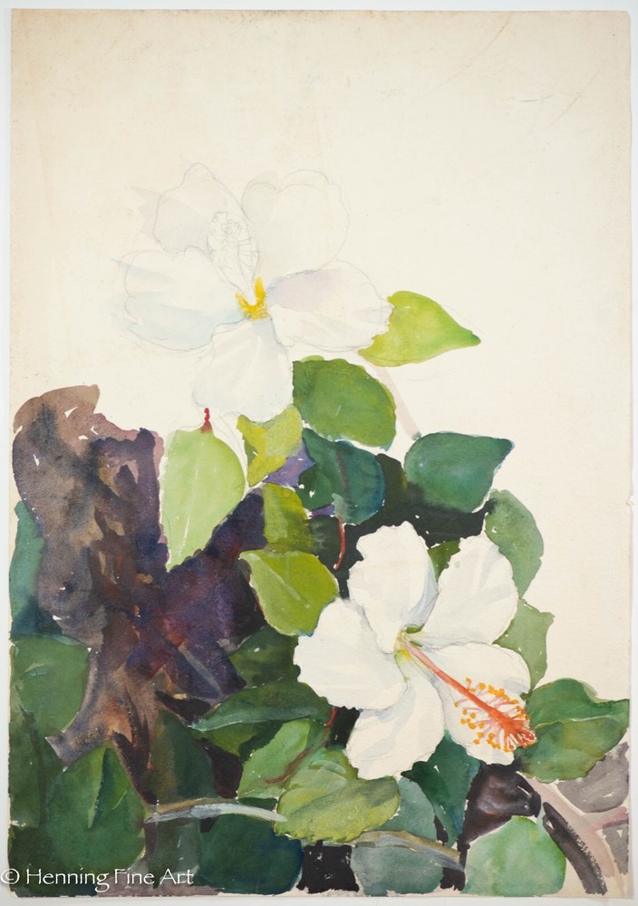 Beautiful Vintage Tropical Floral Painting of Blooming White Hibiscus, Fine!