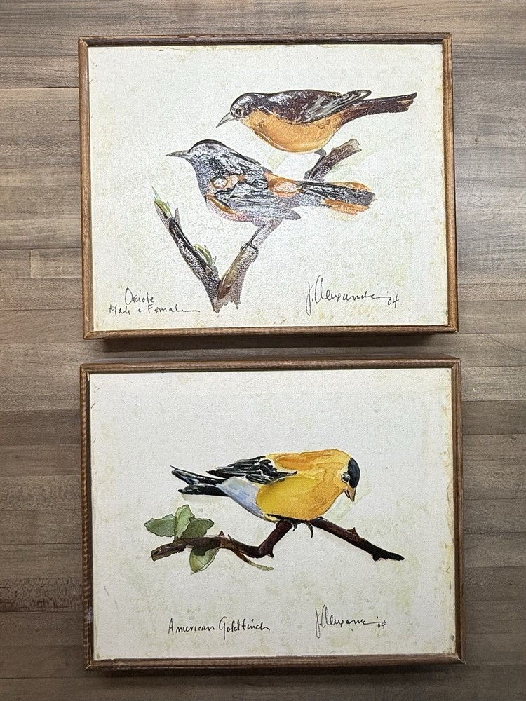 Pair Canvas Art reproduction- Birds, Signed By Artist. (B2?)