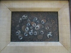 CAROLINE BENTLEY PAINTING SMALL GEM SEA SHELLS COASTAL NAUTICAL STILL LIFE MOD