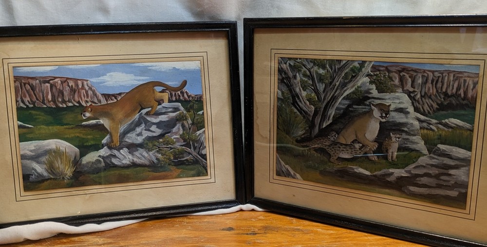 Pair Gouache Paper Painting Mountain Lion / Cougar 6.5 x 9.5 in Vintage