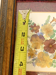 Bronze Framed & Maroon Matted Pressed Flowers 9.25 x 7.25” Signed CottageCore