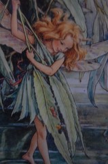 FRAMED VINTAGE 1990’S CICELY MARY BARKER FAIRY FLOWER SERIES: THE WILLOW FAIRY