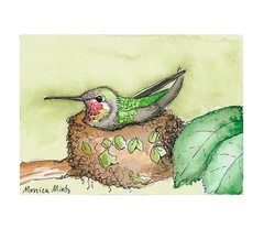 ACEO Limited Edition – Hummingbird on nest of Original Pen & Ink