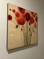Sizzle I By Shirley Novak Canvas Print 23.5” By 23.5”