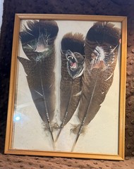 3- Turkey feathers painted and signed Indian tee pee, black bear & Indian 2002