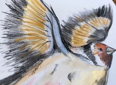 Original Watercolor Goldfinch Painting: Whimsical Bird Nature Art, 8×8 inches