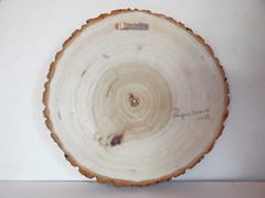 Hand Painted Dragonfly On A Weed On Live Edge Popular Wood By Phyllis