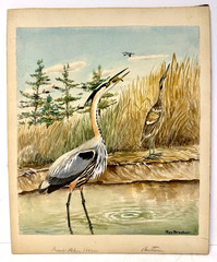 Rex Brasher Original Bird Art Painting – Great Blue Heron & Bittern, Signed
