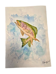 Watercolor Painting Rainbow Trout in Water