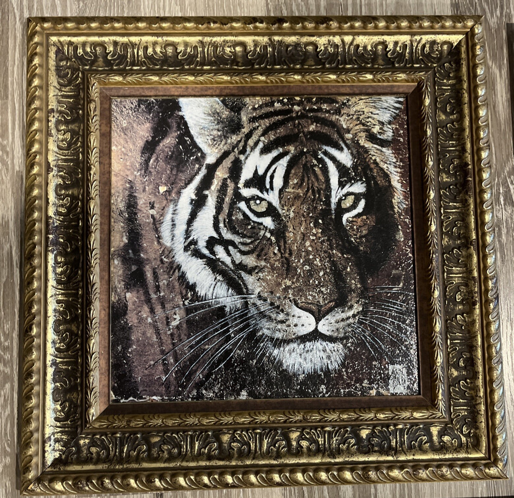Tiger Framed Art 17.5 x 17.5” Wildlife Wall Hanging Home Decor