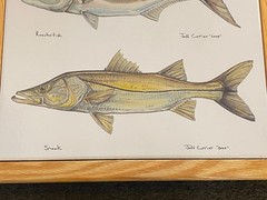 Jeff Currier 2005 Ceramic Tile Framed Roosterfish Snook Art Fly Fishing RARE