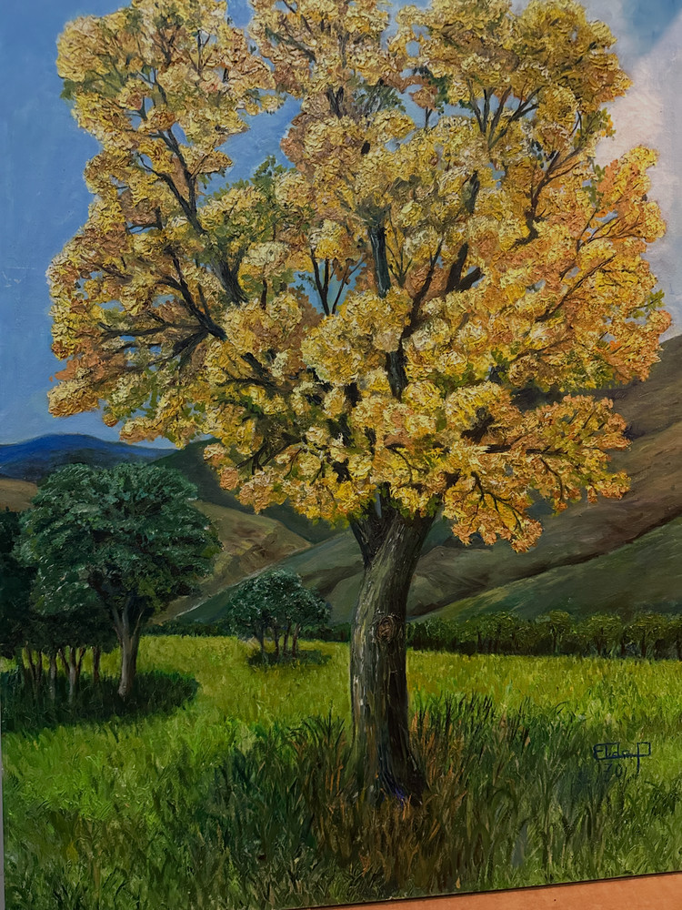 Large Signed Landscape Painting Araguaney Tree Venezuelan Countryside Art