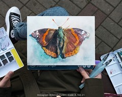 Original Butterfly Watercolor Painting, Red Admiral Colorful Bug Small Moth Art