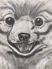 Vintage 1974 Pom Dog Mitzi Watercolor Joy Good 12 5/8”x10 5/8”Artist Framed