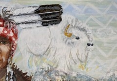 CHEROKEE Native American PORTRAIT Original Art SIGNED White Buffalo BISON Framed