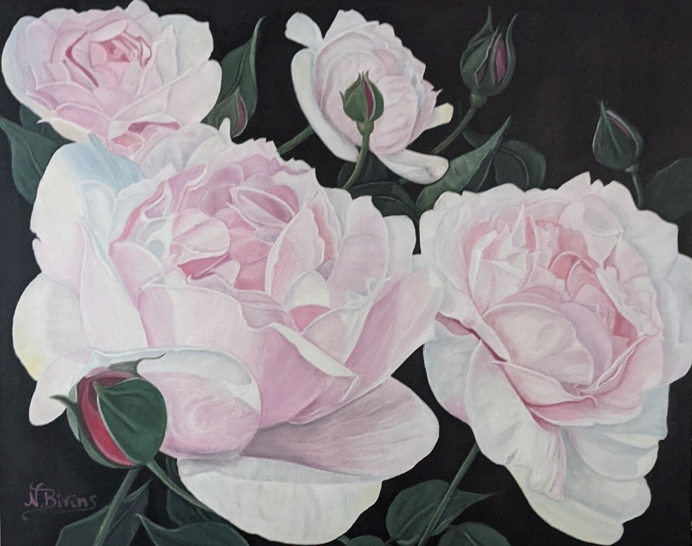 Pink/white Roses 24 x 30 acrylic on canvas original flower painting, wall art