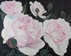 Pink/white Roses 24 x 30 acrylic on canvas original flower painting, wall art