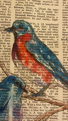 Bluebirds on Old Text – 7 1/2″ X 10 3/4″ -Colored Ink Original Ramfish Artist