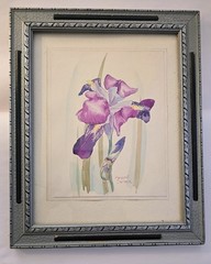 Original Watercolor Iris Painting Signed Margaret Selleck Framed Floral Art