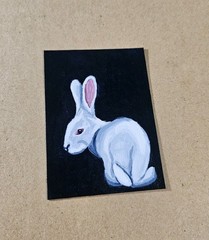 ACEO White Rabbit Mini Painting Red Eyed Bunny Original Art By Rachel Jacob