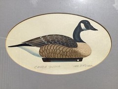 William P. Tyner Original Watercolors Ducks & Canada Goose