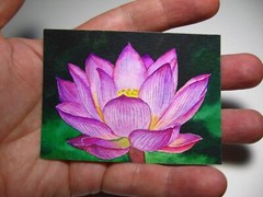 Watercolor Painting Water Lily Flowers ACEO Art