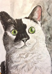 ACEO Original Acrylic Cat White with Black Spot Face Collectable by LGarcia