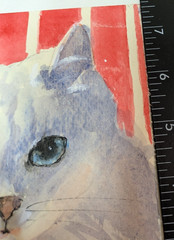 ORIGINAL watercolor painting White KITTEN Blue Eyes 5.75 x 7.5 in Signed