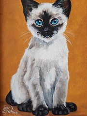 Siamese Kitten Blue Eyes Painting Pet Original Art Framed 7 x 5 Cat Oil Painting