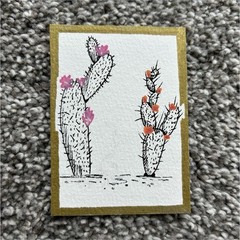 ACEO Nature Blooming Cactus 2.5”x3.5” Acrylic Paint and Ink by Anna