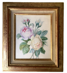 School of Joseph REDOUTE (1759-1840) White Purple Rose Watercolor Vellum Museum
