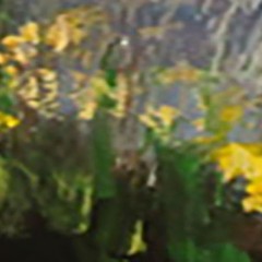 LANDSCAPE Oil painting contemporary 8x12UKRAINE