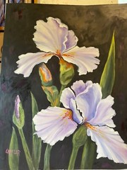 16 x 20 Original Framed Oil Painting on Canvas Paper…..Two Irises