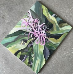 Florida Flora Oil Painting Spider Lily Collect Original Fine Art Signed Dated